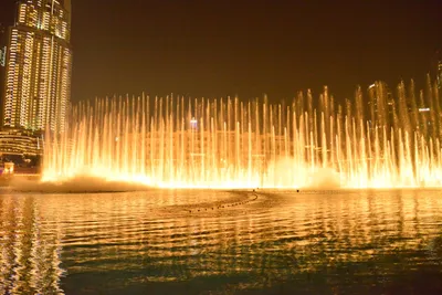 DSC_4138 (Large).JPG